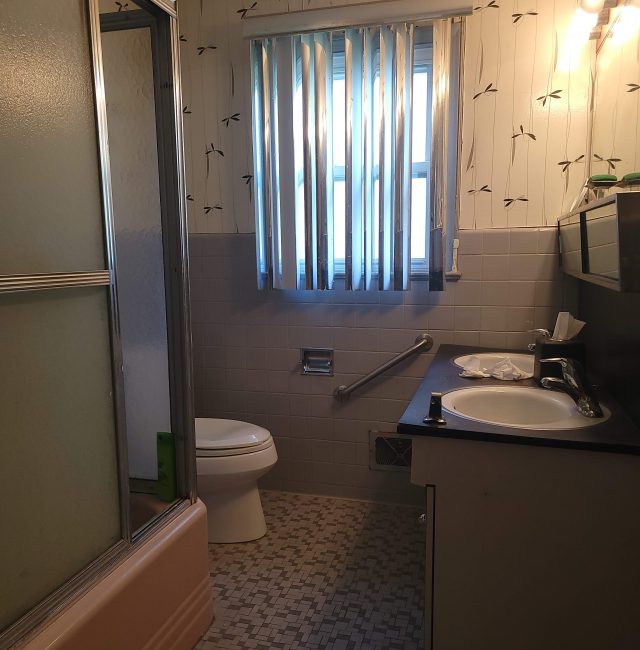 Bathroom Remodel White